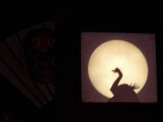 Wuhou theatre - Swan in Chinese shadow