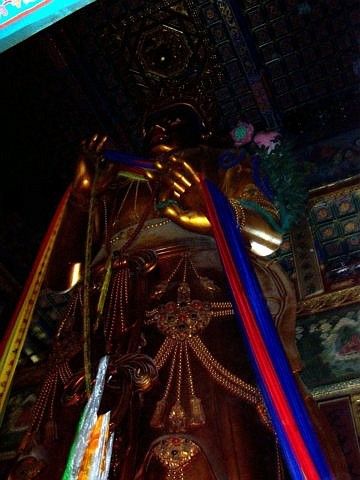 Lama temple - Giant statue of Maitreya