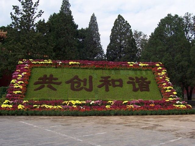 Dingling - Floral arranging with sinograms