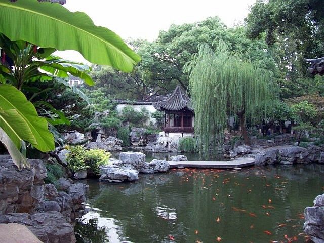 Jardin Yu - Pavillon et saule pleureur