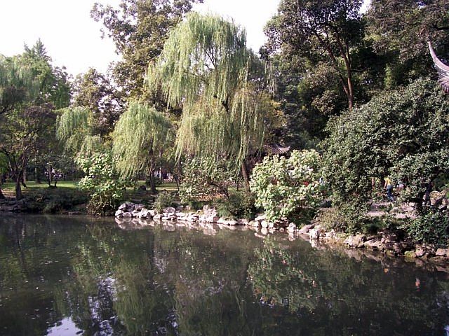 Jardin de la politique des simples - Etang