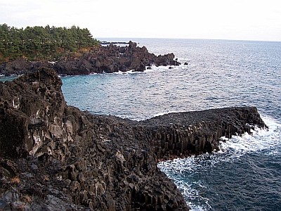Jeju basalt rocky coast