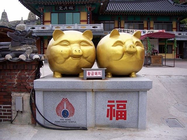 Haedong Yonggungsa temple - Pigs