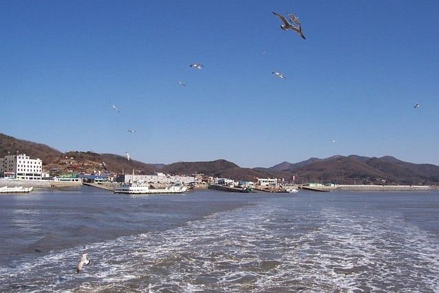 Gulls between Ganghwa island and Seongmodo island