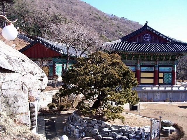 Bomunsa temple - Temple and tree