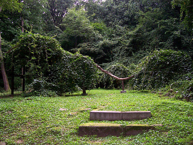 Changdeokgung palace - Juniper