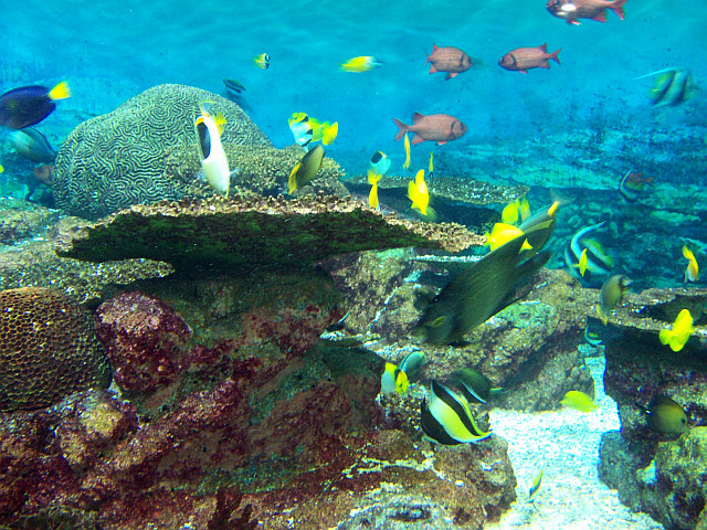 Coex Aquarium (view 10)