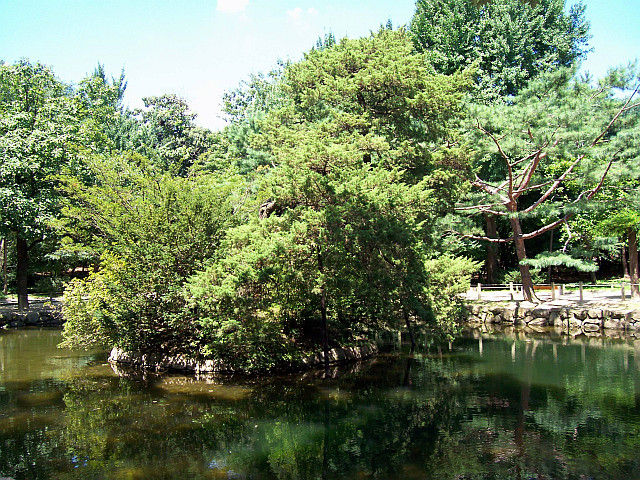Jongmyo palace - Pond