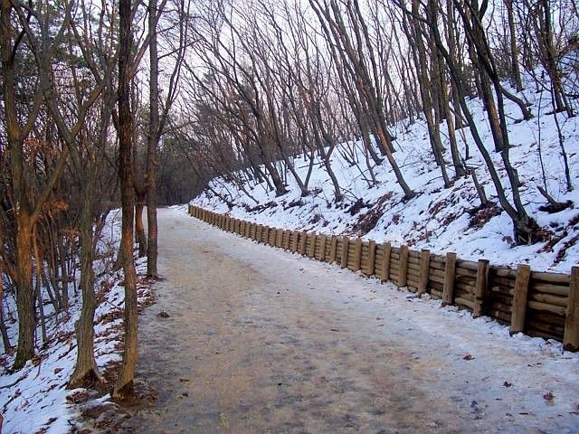 Surisan - path under the snow