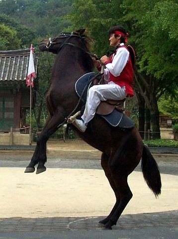 Yong-in folk village - Horse show (1/3)