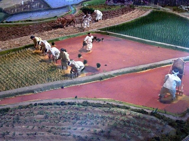 Yong-in folk village - Model on the transplanting of rice.