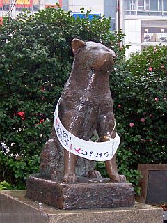 Hachiko