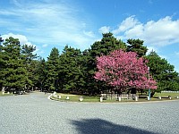 palais-imperial-00140-vignette.jpg