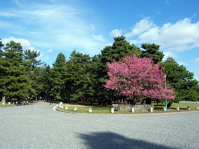 Palais impérial - Parc