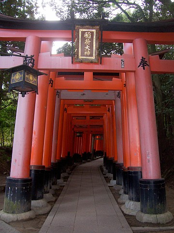 Sanctuaire Fushimi Inari - Toriis