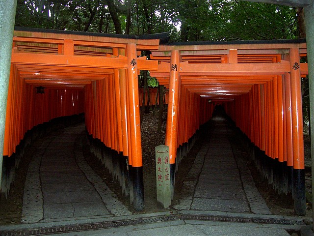 Sanctuaire Fushimi Inari - Deux couloirs de toriis
