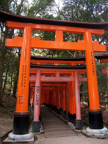 Sanctuaire Fushimi Inari - Toriis oranges