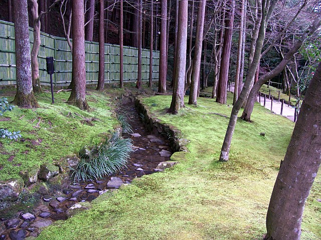 Temple Ginkaku-ji - Rigole dans le jardin humide
