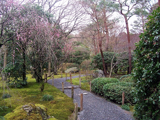 Temple Ryoan-ji - Parc