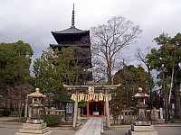 temple-toji-00070-vignette.jpg