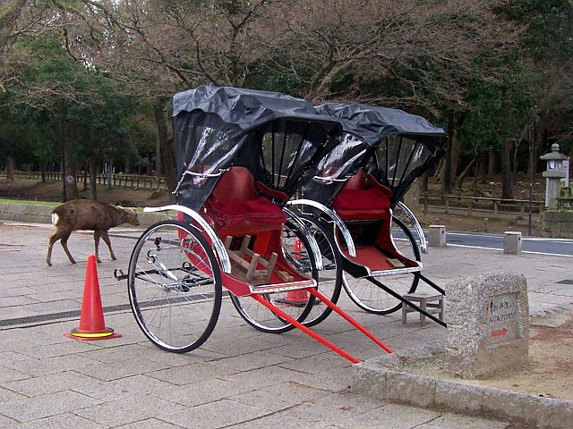 Deer park - Rickshaw