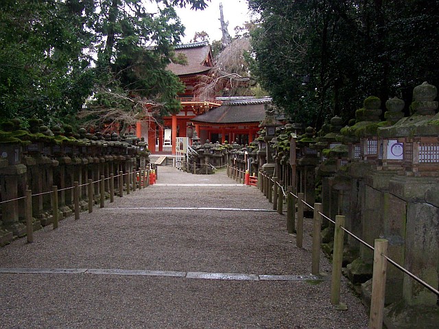 Pathway leading to Kasuga Taisha Shinto shrine