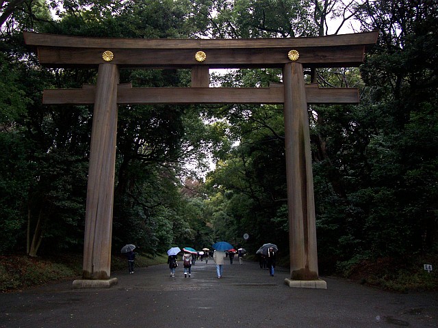 Meiji shrine - Torii