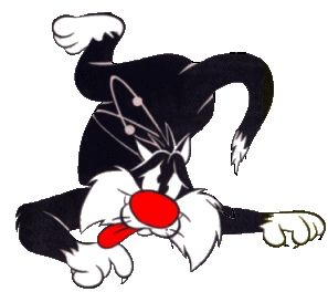 Sylvester stunned