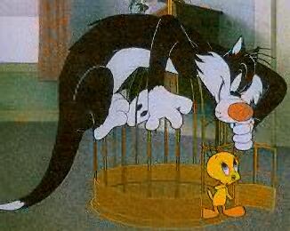 Tweety wary of Sylvester