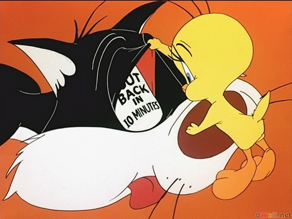 Tweety with Sylvester K.O.
