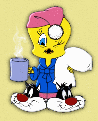 Tweety with Sylvester slippers