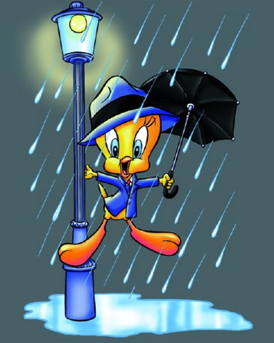 Tweety singing in the rain
