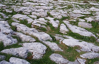 Limestone ground