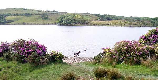 Paysage du Connemara