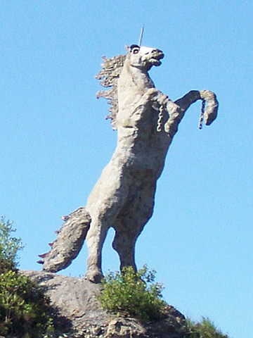 Rear horse near Cloonkeen on N22