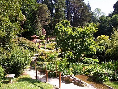 Powerscourt gardens - Japanese gardens