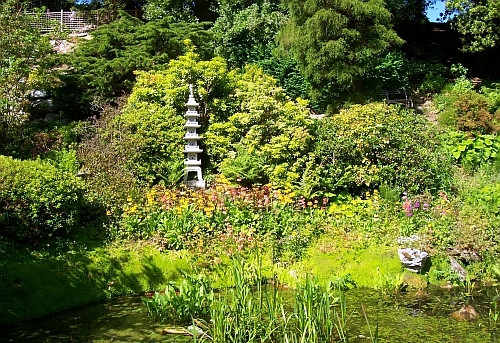 Powerscourt gardens - Japanese gardens (view 2)