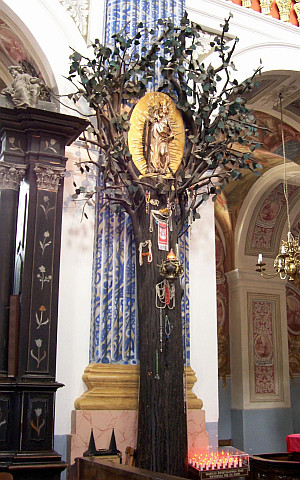 Eglise de Święta Lipka - Tilleul à la figurine