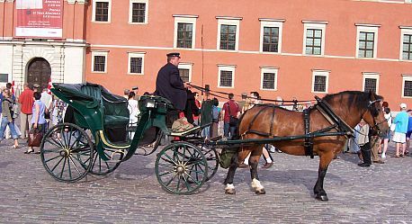 Calèche de la place Zamkowy