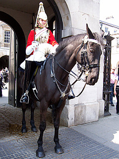 Horse guard