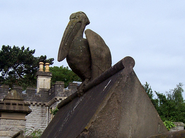 Cardiff castle - Animal wall, pelican