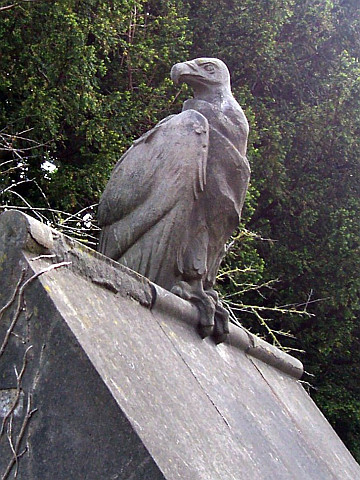 Cardiff castle - Animal wall, vulture