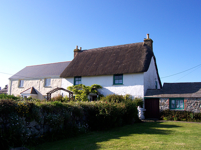 Cap lizard - Thatched house