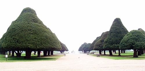 Hampton court - Path to the gardens