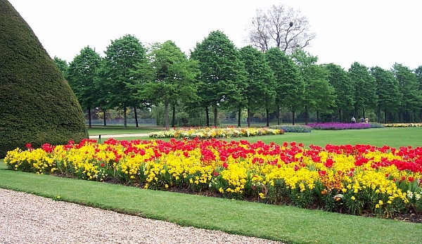Hampton court - Gardens and flowers