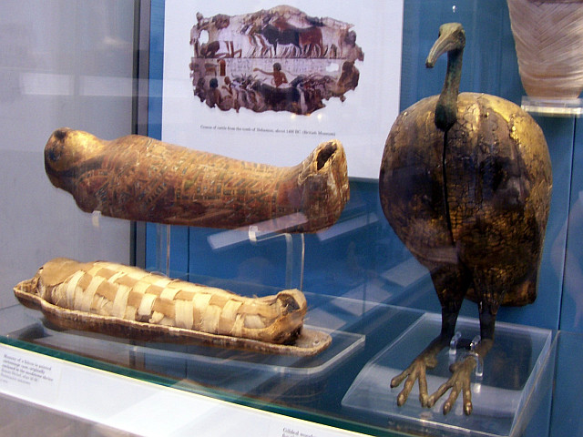 British museum - Mummy of birds