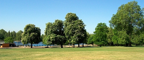 Hyde park