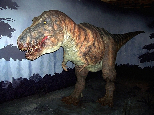 Natural history museum - Reconstitution of an animated Tyrannosaurus