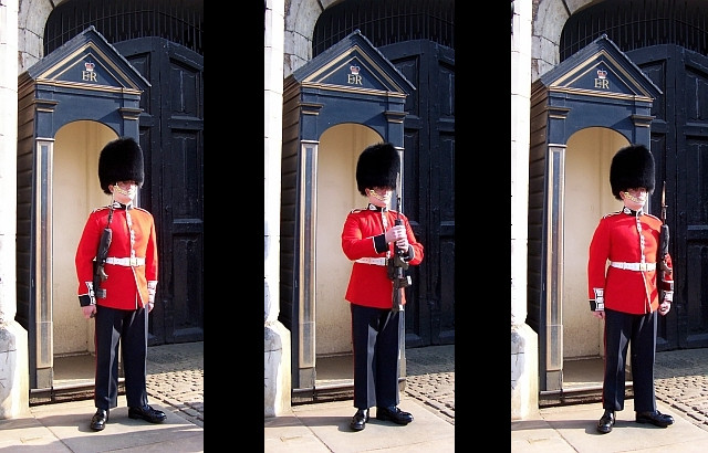 Buckingham palace - Royal guard in his box