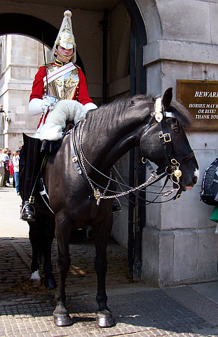 Whitehall - Horse guard on his horse